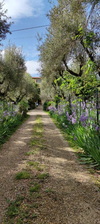 Apartamento Agli Ippocastani Perugia Exterior foto